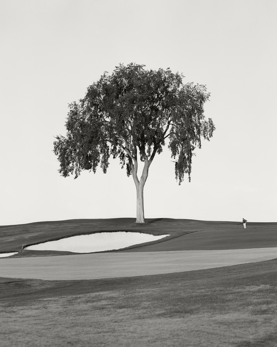 /content/dam/images/golfdigest/fullset/2023/2/Oakland Hills ELM RIBAR 2.jpg